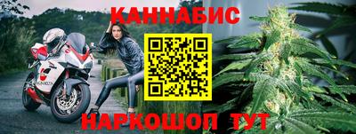 стаф Аргун